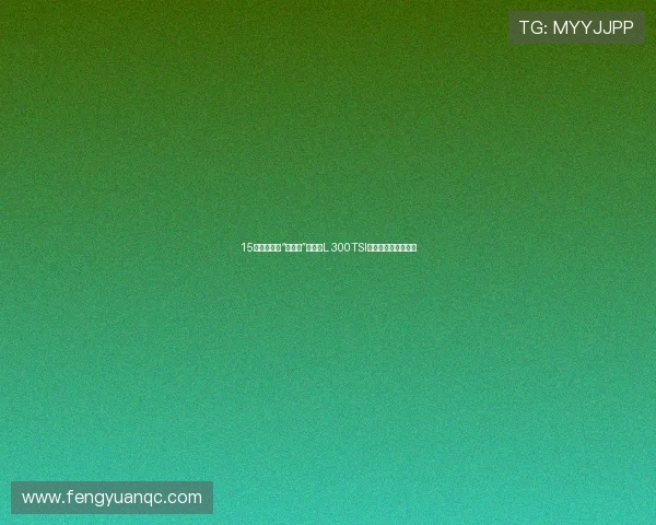 15万搞定德系“新卷王”，途观L 300TSI的性价比到底咋样？