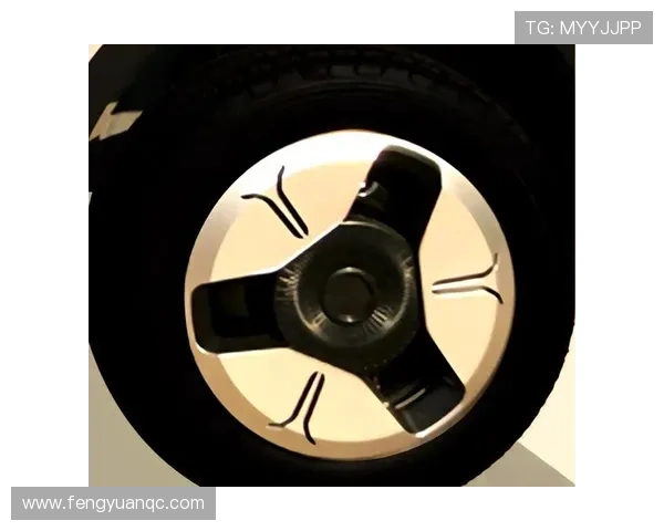 1万出头,鲁客新款低速四轮车,续航150公里,适合老年人代步出行